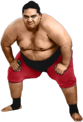 Sumo Png Sumo Wrestler Png Transparent Wrestling Ring Png