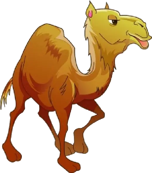 Camel Pngclipart 16 Free Download Camel Png