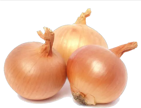 Download Onion Png Picture Hq Image Onions Brown Onion Png
