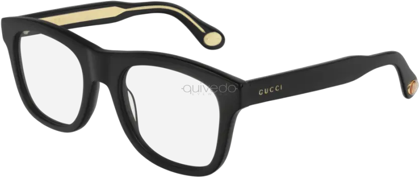 Gucci Seasonal Icon Gg0480o 001 Dolce And Gabbana Red Eye Glasses Png Spring Season Icon