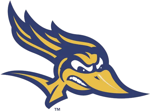 Diversity Equity And Inclusion The Big West Csu Bakersfield Roadrunners Png Nba Live 19 Icon