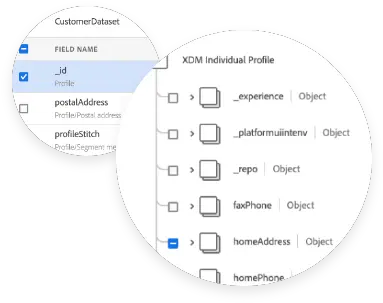 Adobe Real Time Customer Data Platform Features Dot Png Customer Profile Icon