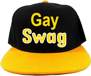 Gay Hat Png 8 Image Gay Pride Hat Transparent Swag Hat Png