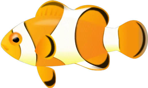 Clown Fish 001 1 Clown Fish No Background 514x305 Png Tropical Fish Png Cartoon Clown Transparent Background