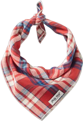 Hank Bandana Scarf Png Bandana Transparent