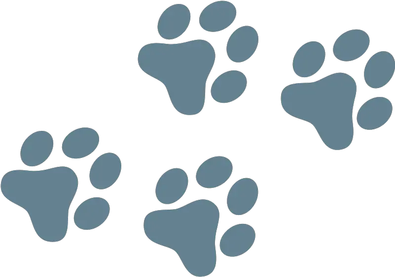 Dog Paw Prints Clipart Buck Thomas Park Png Paw Prints Transparent