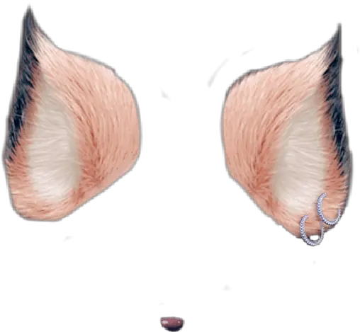 Cat Snapchat Cat Filter Png Snapchat Dog Filter Transparent