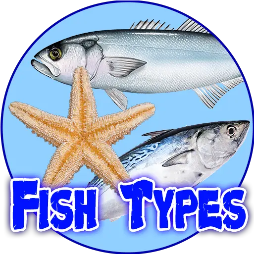 Fish Types Goldfish Saltwater Freshwater Apk 102 Fish Products Png Goldfish Icon