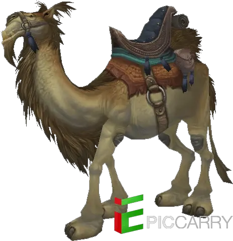 Tan Riding Camel Reins Of The Brown Riding Png Camel Transparent