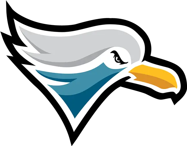 Jersey Gulls Gulls Logo Png Seagull Icon