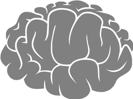 Gray Brain 2 Icon World Brain Tumor Day 4k Hd Png Brain Icon Free