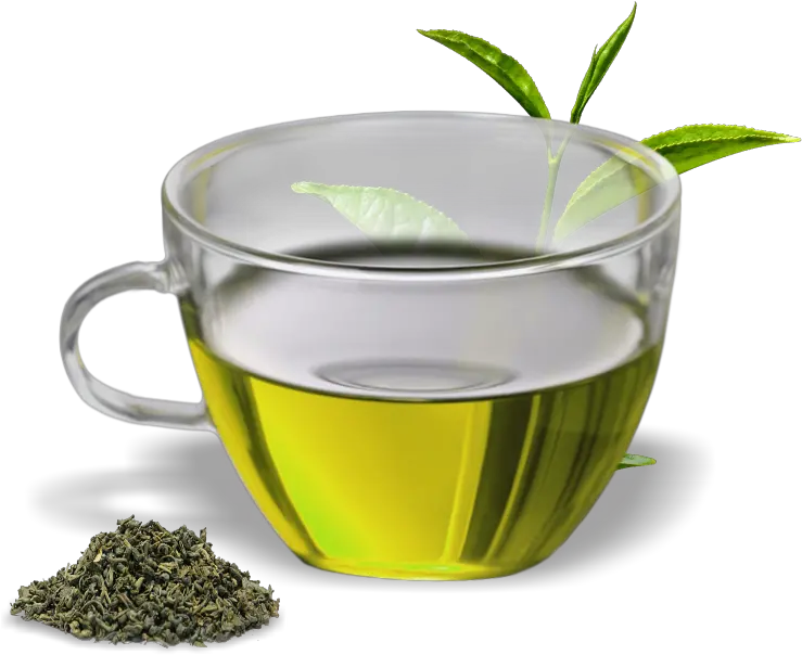 Green Tea Assam Oolong Herbal Green Tea Png Green Tea Cup Png Mint Png