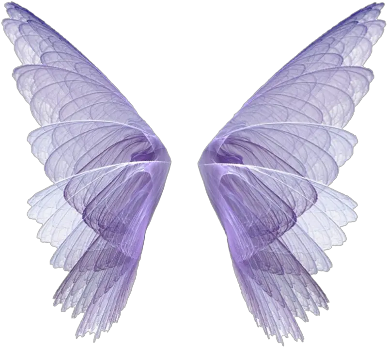 Fairy Wings Png Image Transparent Fairy Wings Transparent Background Fairy Wings Png