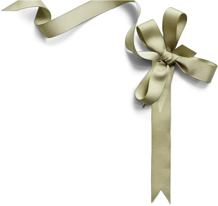 Silver Ribbon Transparent Png Wedding Ribbon Silver Png Silver Ribbon Png