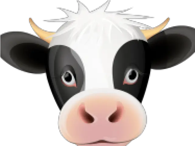 Cow Face Cliparts Clipart Cow Face Png Cow Face Png