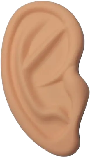 Ear Png Image Free Download Wood Ear Png