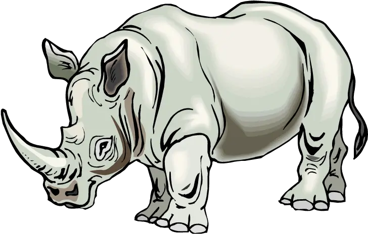 31 Rhino Clipart Rhinoceros Clipartlook Transparent Background Rhino Clipart Png Rhino Png