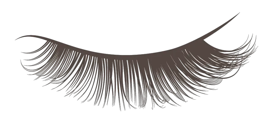 Download Hd Closed Eyelashes Png Transparent Background Lash Clipart Eyelashes Transparent Background