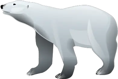 Polar Bear Png Image