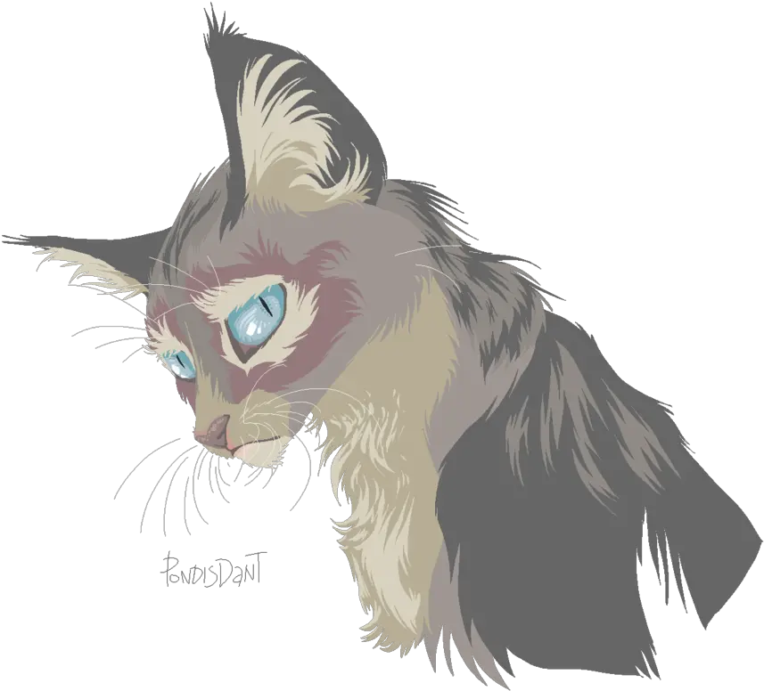 Kitten Whiskers Cat Drawing Art Sad Cat Art Png Sad Cat Png