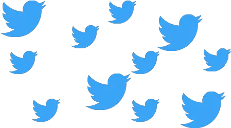 Multiple Twitter Accounts Twitter Birds Transparent Png Twitter Bird Transparent