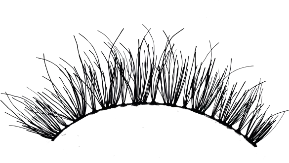 Download The Gallery For Transparent Cartoon Eyelash Png Hd Eyelashes Transparent Background