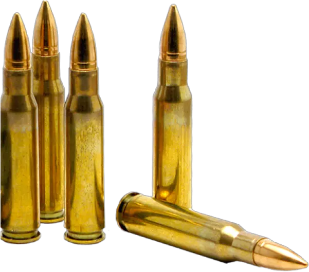 Vector Bullet Silver Transparent Png Transparent Background Ammunition Png Bullets Transparent