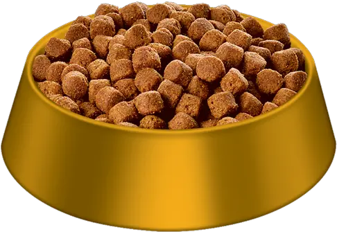 Dog Food Bowl Transparent Png Clipart Chocolate Dog Bowl Png