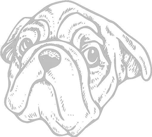 Silver Dog Icon Free Silver Dog Icons Bulldog Png Bull Dog Icon