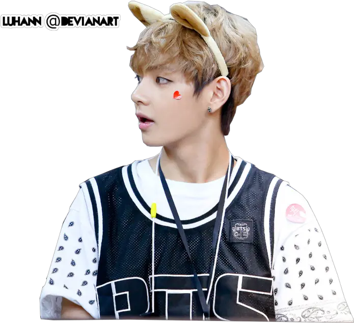 V Bangtan Boys Png Por Luhann D6t06kn Gdragon Sunny Cat Bts Boys Png