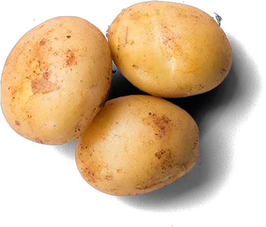 Home Potato Top View Png Potatoes Png