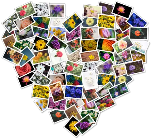 Figrcollage 272 Free Download Mac Torrent Figrcollage 11 Png Icon Collage
