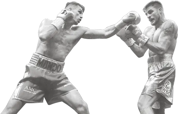 Download Hd Callumu0027s Story Professional Boxing Transparent Boxing Trunks Png Boxing Png