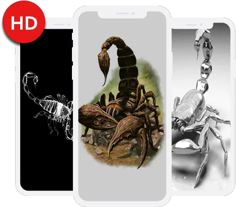 Scorpion Wallpapers Hd U2013 Aplicações No Google Play Scorpion Png Scorpion Transparent Background