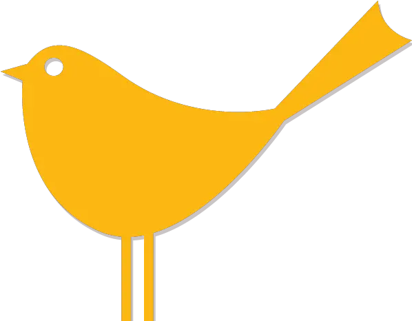 Tam Bigbird Gdd Interactivegdd Interactive Old World Flycatchers Png Big Bird Png