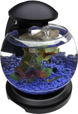 Glob Aquarium Fish Tank Png Transparent Fishes Aquarium Transparent Img Fish Tank Png