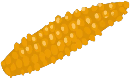 Golden Corn Cob Isometric Transparent Png U0026 Svg Vector File Clip Art Corn On The Cob Png