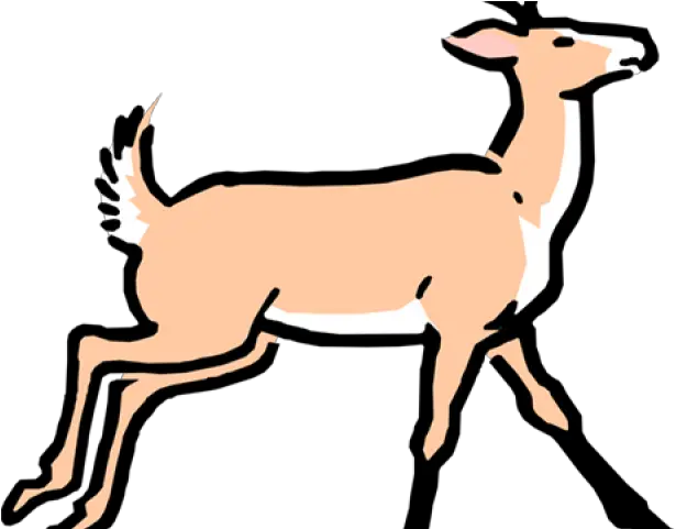 Download Deer Buck Cartoon Full Size Png Image Pngkit Clip Art Buck Png