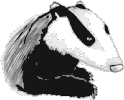 Honey Badger Photo Background Transparent Png Images And European Badger Honey Transparent Background