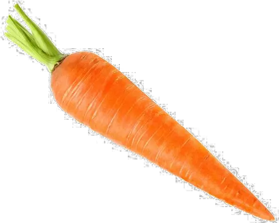 Carrot Png Transparent Images Free Download Background