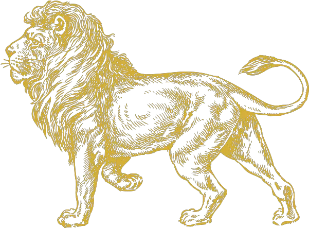 Golden Lion Clip Art Vector Clip Art Online Lion Drawing Png Lion Png Logo