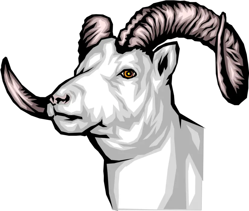 Thinhorn Dall Sheep Vector Image Chichester Central School Png Goat Head Png