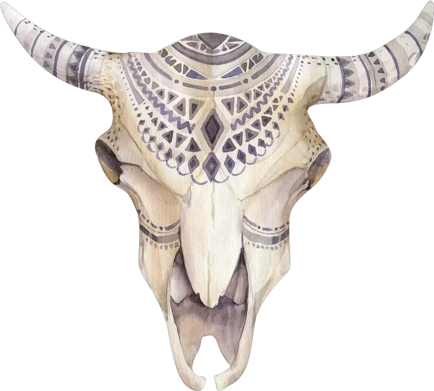 Download Boho Animal Skull Png Water Paint Of Flower Cow Skull Png