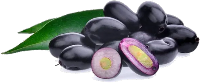 Download Jamun Java Plum Transparent Png 218 Free Jamun Seeds Java Png