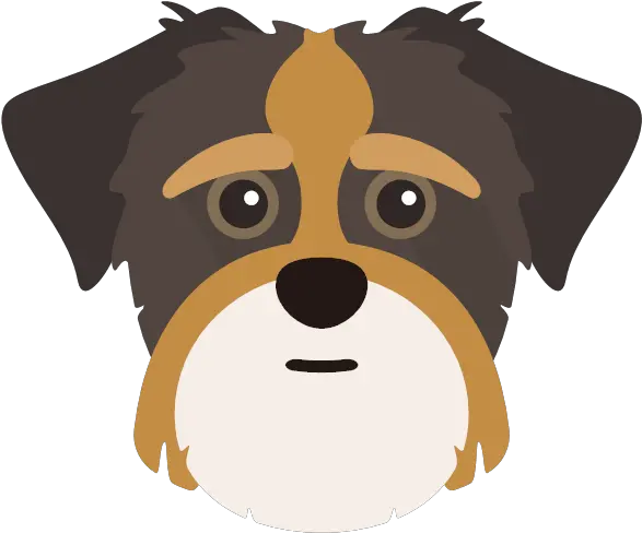 Show Off Your Shorkie Shorkie Png Dog Face Icon