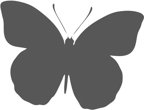 Butterfly Silhouette Icon Mariposa Icono Png Butterfly Silhouette Png