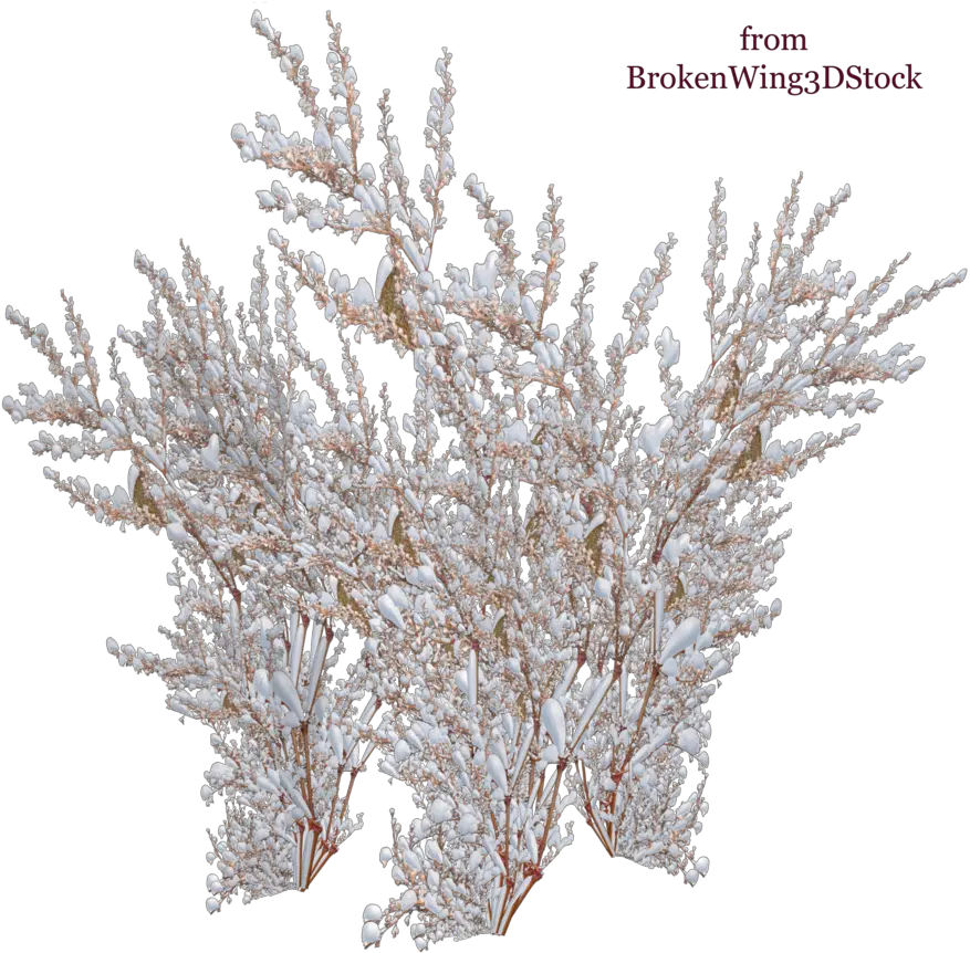 Download The Snow Winter Bush Png Snow Tree Png