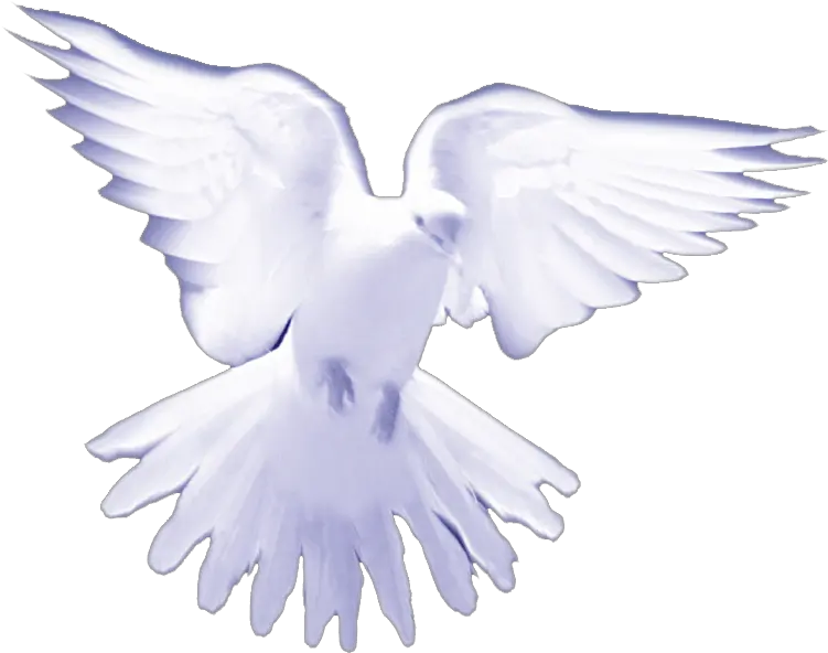 Download Dove White Birds On Heaven Png Image With No Transparent Holy Spirit Png Heaven Png