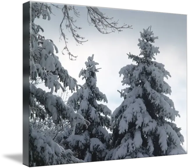 Download Clip Art Buried In By Mike Snow Hd Png Download Snow Snowing Png