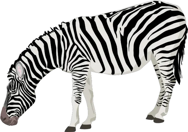 Zebra Png Transparent Images Zebra With Transparent Background Zebra Logo Png